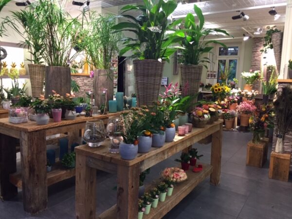 Blumengeschäft - Blumenhaus Daniela - Ihr Florist in Luzern